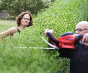 Wie hoch darf eine Hecke sein?