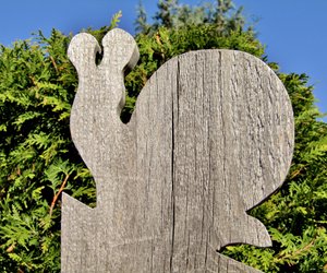 Heimtückische Heckenpflanze: Ist die Thuja giftig?