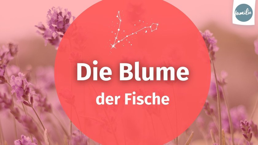 Blume