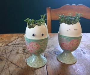 Frühlings-Upcycling: Lustige Kresse-Eier-Köpfe