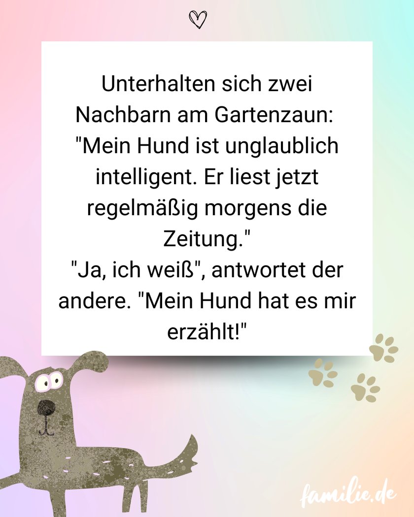 Hundewitze - Zwei Nachbarn unterhalten sich ...