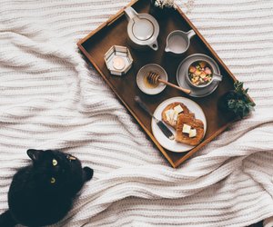 Wissen für Pfotenfreunde: Dürfen Katzen Butter essen?