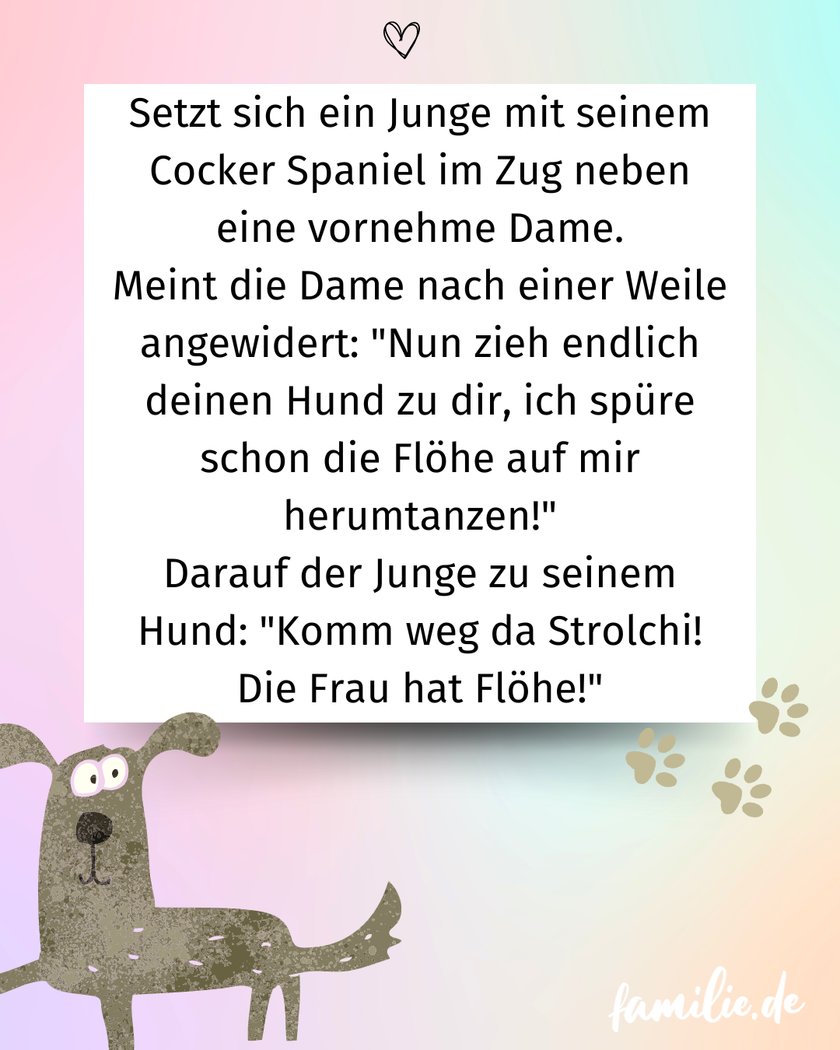 Hundewitze - Gut gekontert