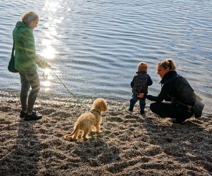 Ideal für Abenteuer: Der faltbare Hundenapf von Tchibo, praktisch und leicht