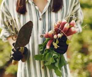 Rettich haltbar machen: So funktioniert es