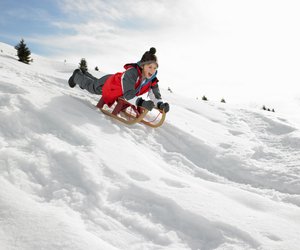 Schlittenspaß garantiert: Diese 5 Modelle wollen jetzt alle haben