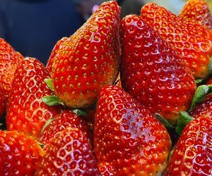 Dieser Geheimtrick hält Schimmel von frischen Erdbeeren fern