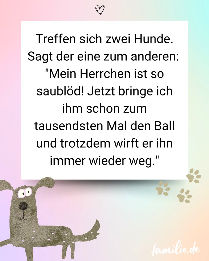 Hundewitze - Hol das Bällchen