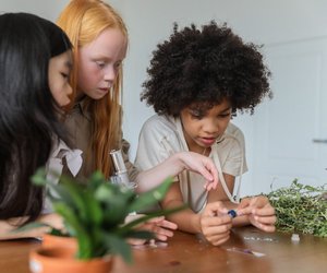 Urtiere: So überleben sie seit Millionen Jahren