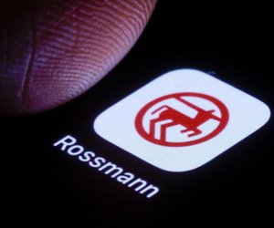 Schaffe Gemütlichkeit: Das LED-Neon-Leuchtband von Rossmann bringt behagliches Licht