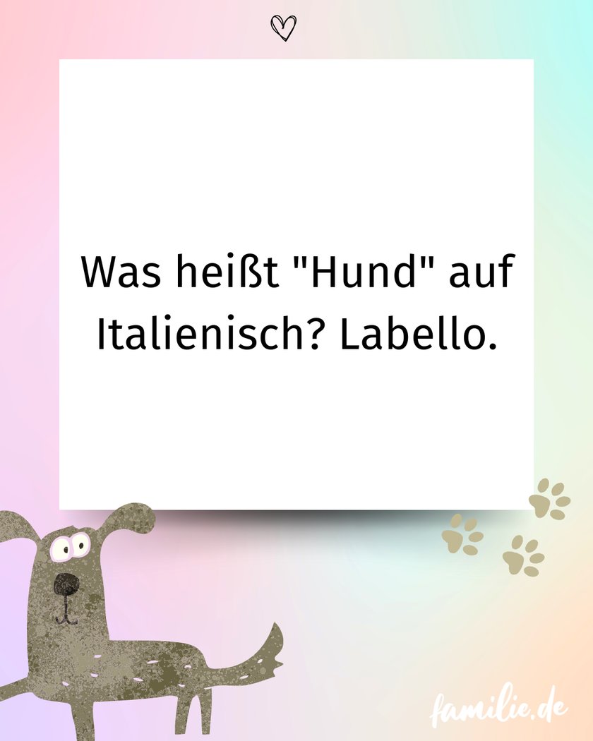 Hundewitze - Italiano