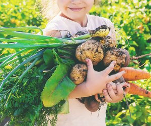 Kinder vegan ernähren: Gesund oder riskant? Die wichtigsten Fakten