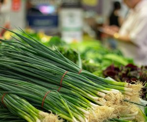 Frühlingszwiebeln lagern: So bewahrst du sie richtig auf