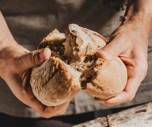 Brotbackautomat-Test: Die 5 beliebtesten Geräte im Vergleich