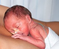 Känguruhen: Wichtige Kuscheltherapie für Frühchen