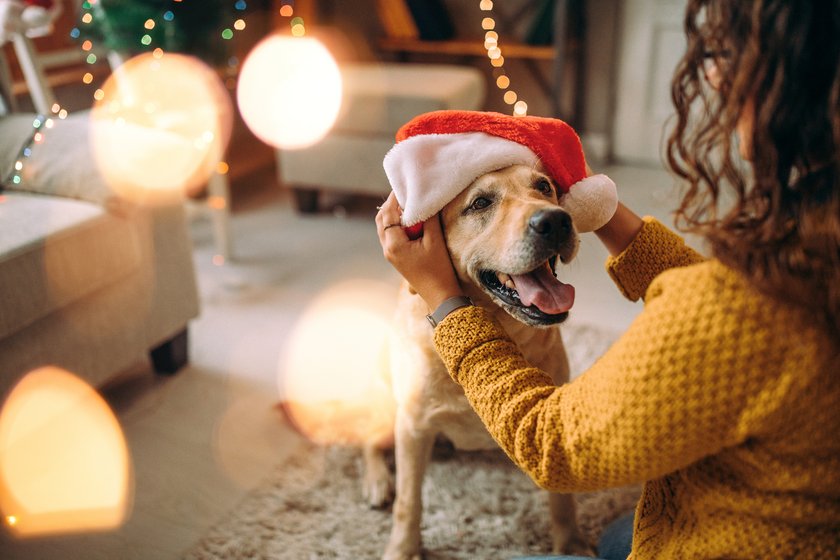 Photo of teenager girl with his dog is having fun during Christmas holidays