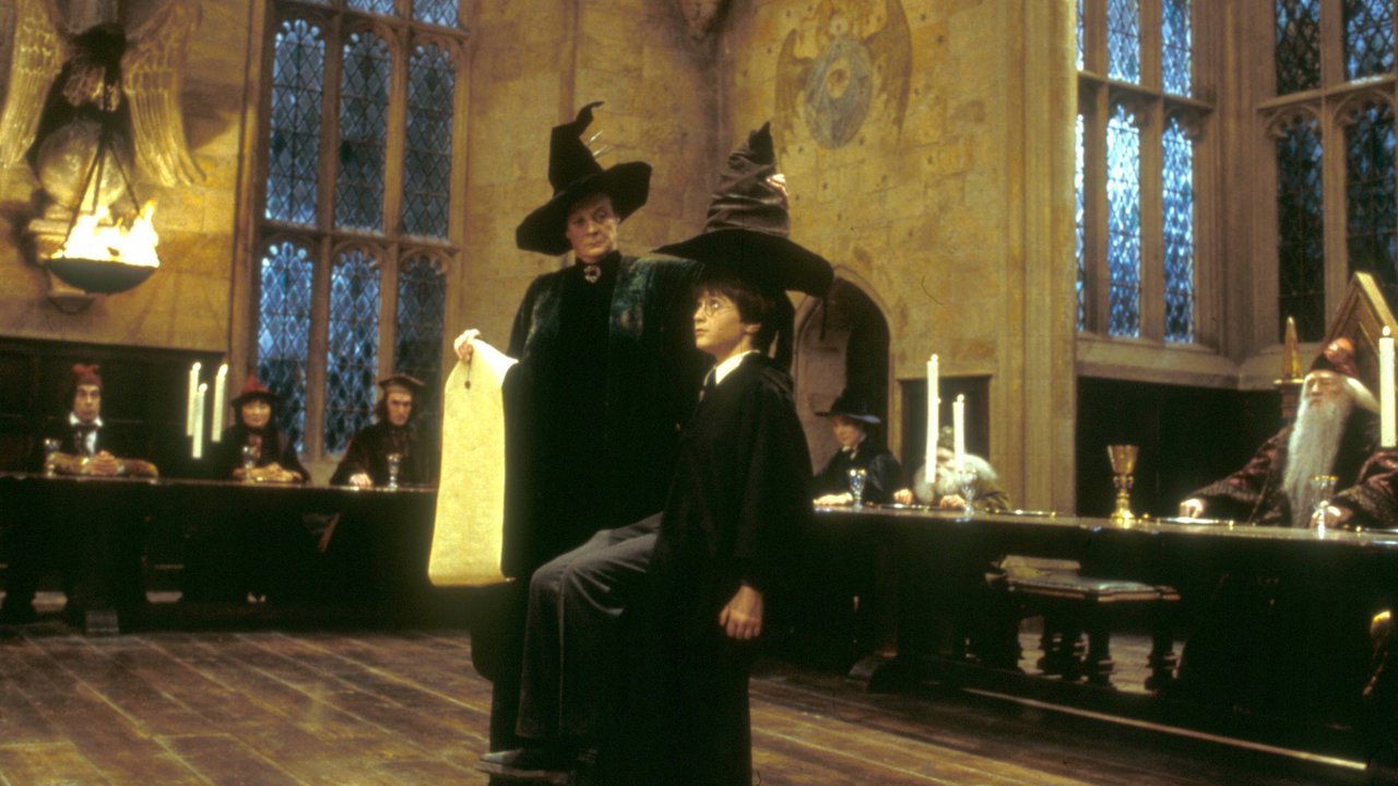 Harry Potter Haus Test