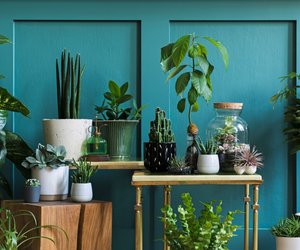 DIY-Fans aufgepasst: So verwandelt ihr alte Blumentöpfe in echte Hingucker