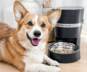 PetSafe-Produkte bei Aldi: Viele Gadgets im Angebot