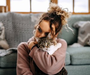 Ist deine Katze gerade besonders anhänglich? Das könnte am Winter liegen