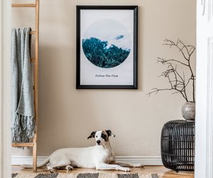 Diese extrem niedlichen IKEA DIYs erschaffen Wohlfühlzonen für deinen Hund