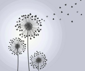 Trauer trifft uns alle: 11 tröstende Sprüche zum Tod, wenn nichts mehr geht